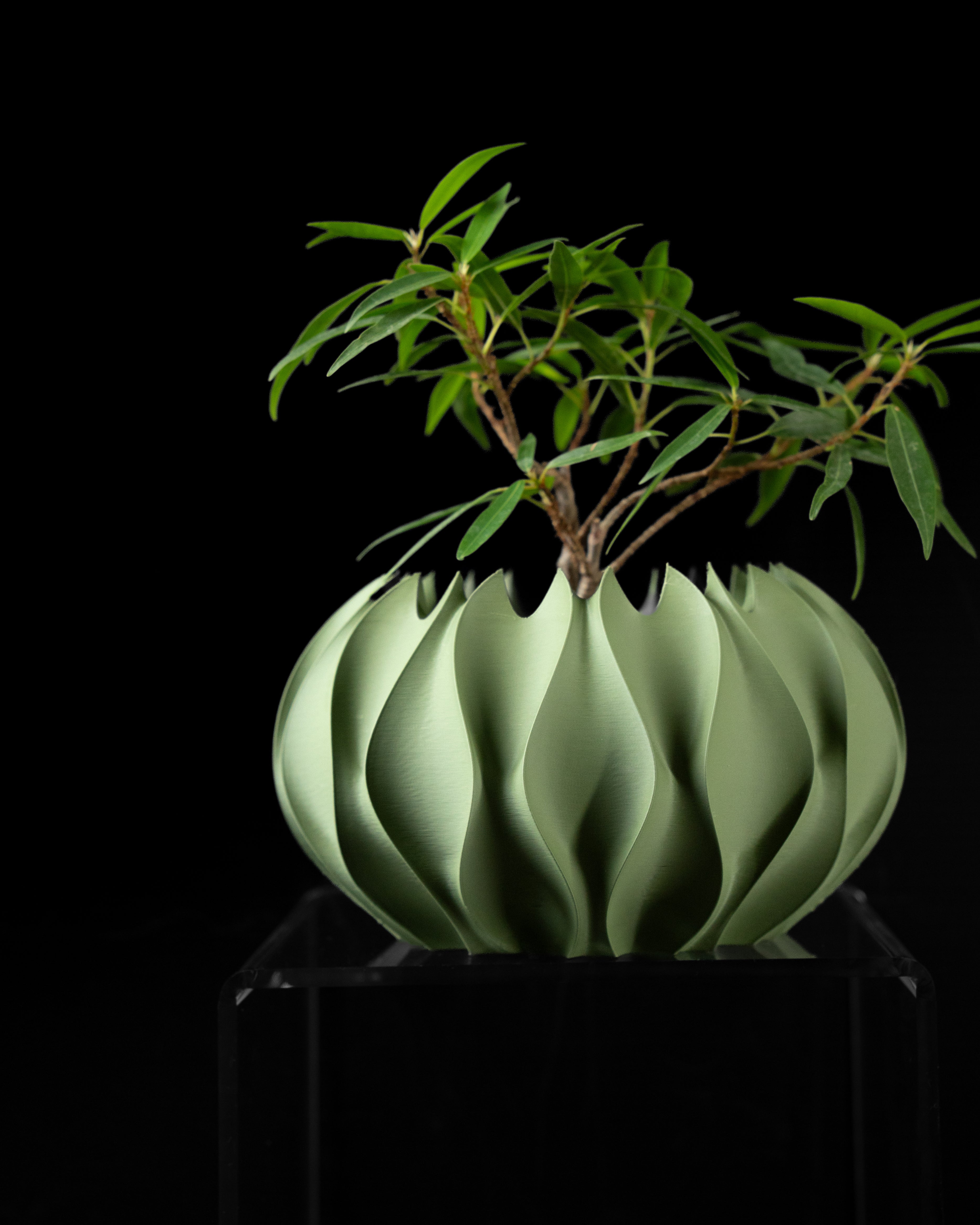 Abyssal Planter - Printed to Order