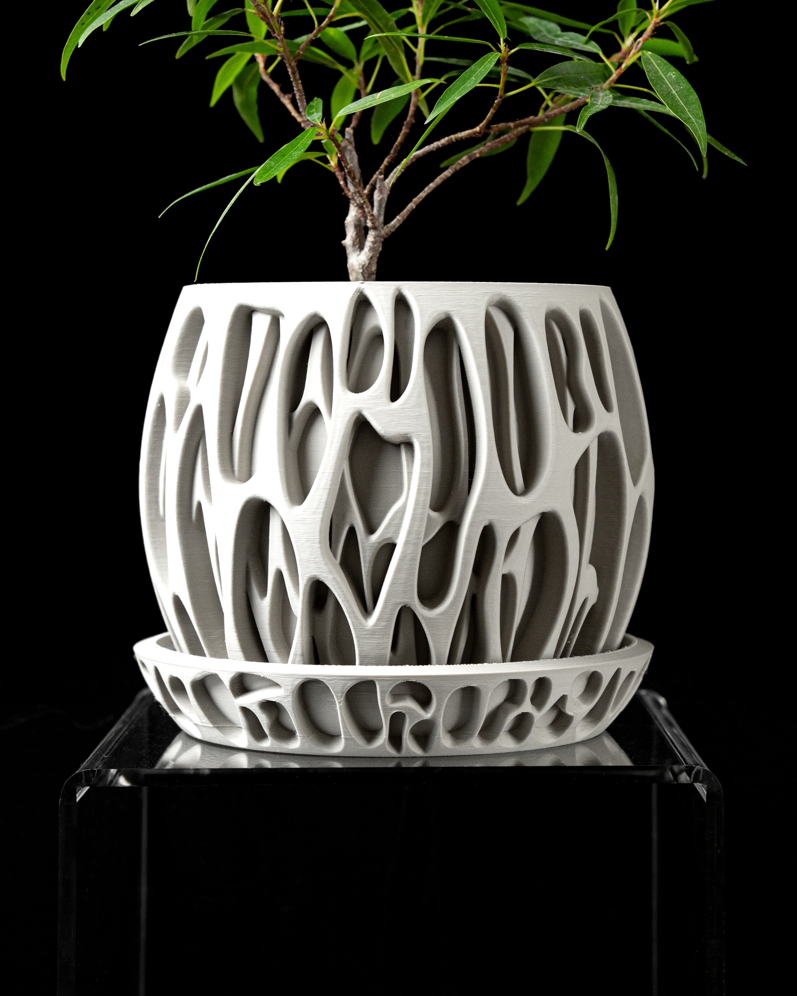 Slime Planter – Print to Order