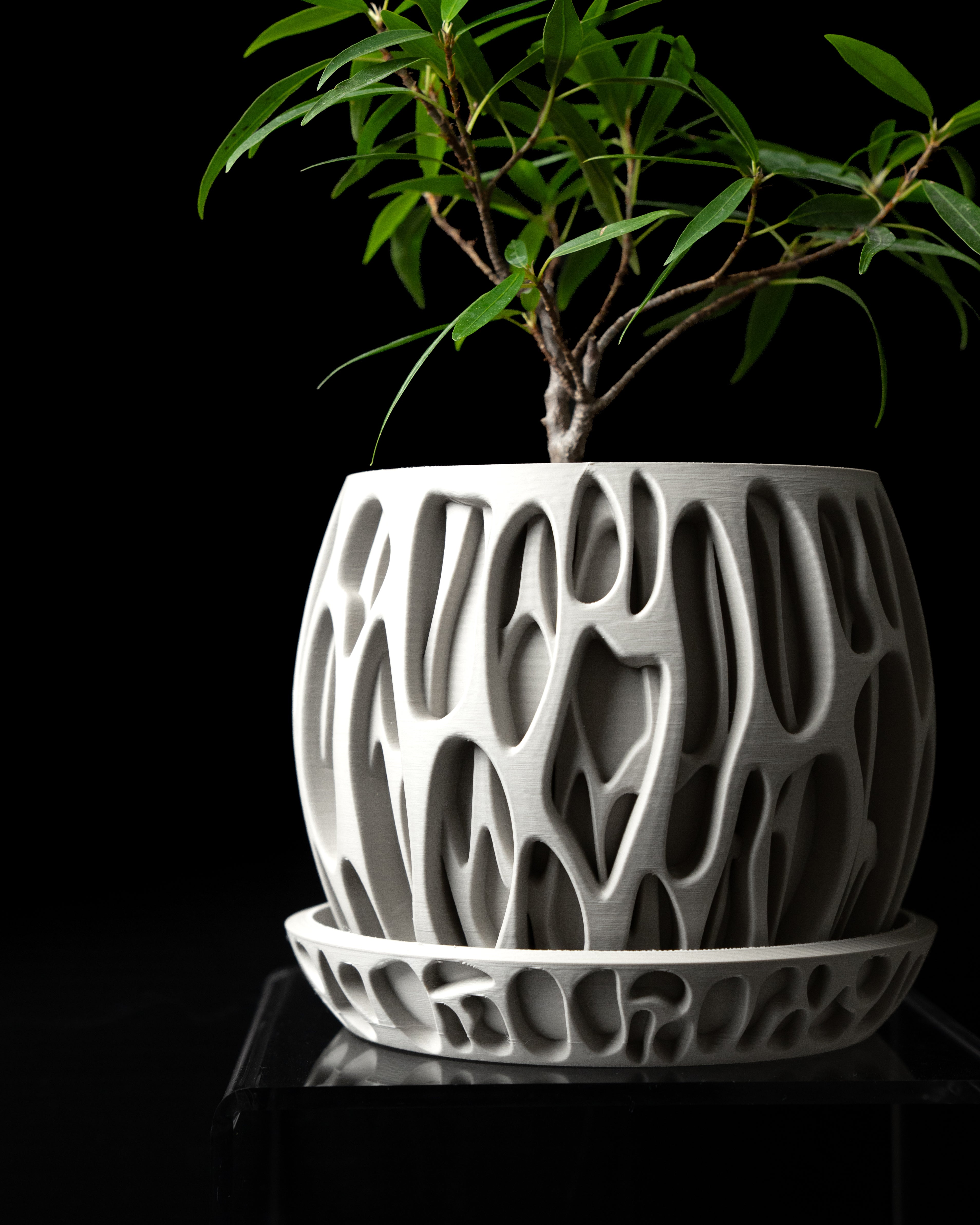 Slime Planter – Print to Order