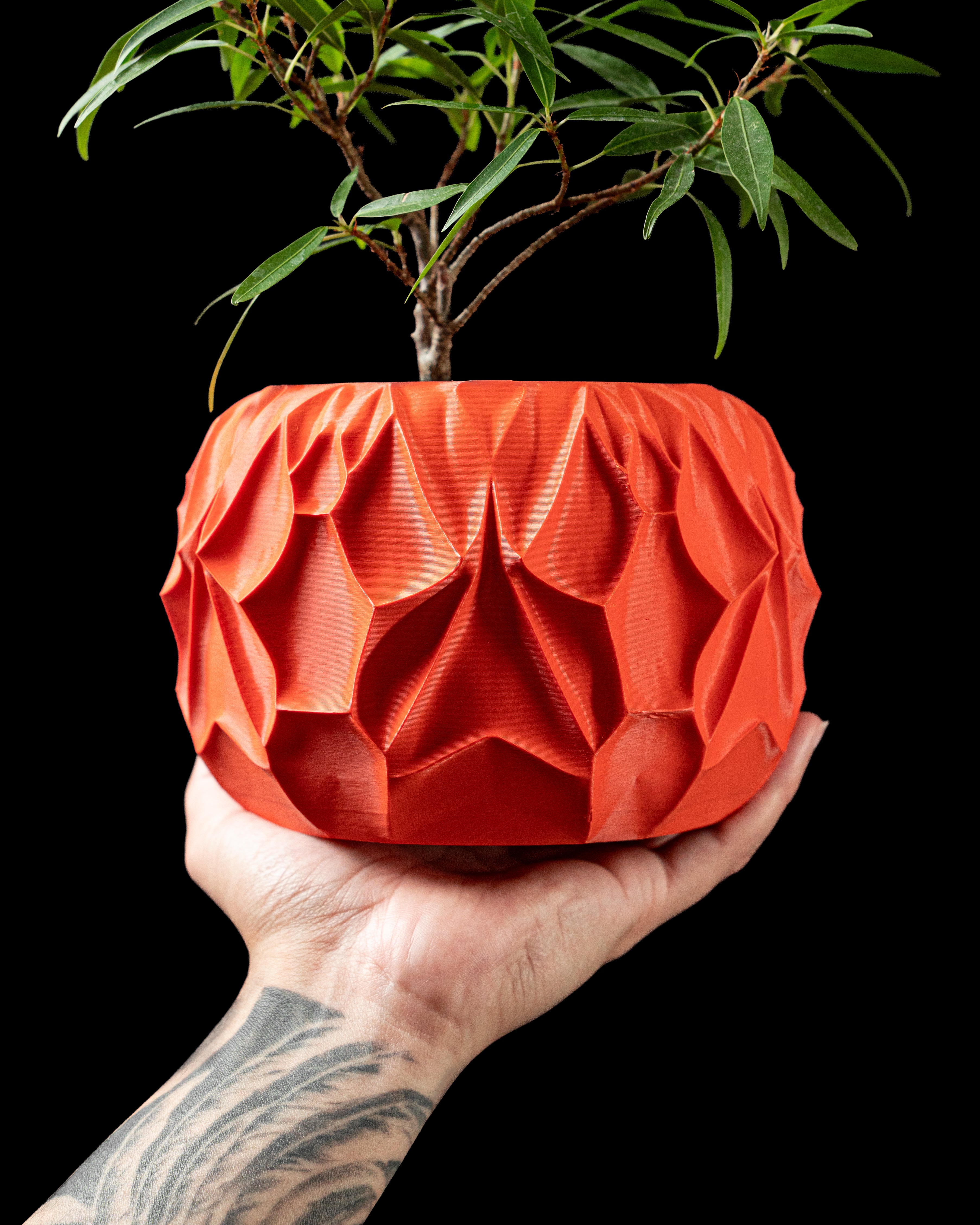 Vessel Planter - Printed to Order