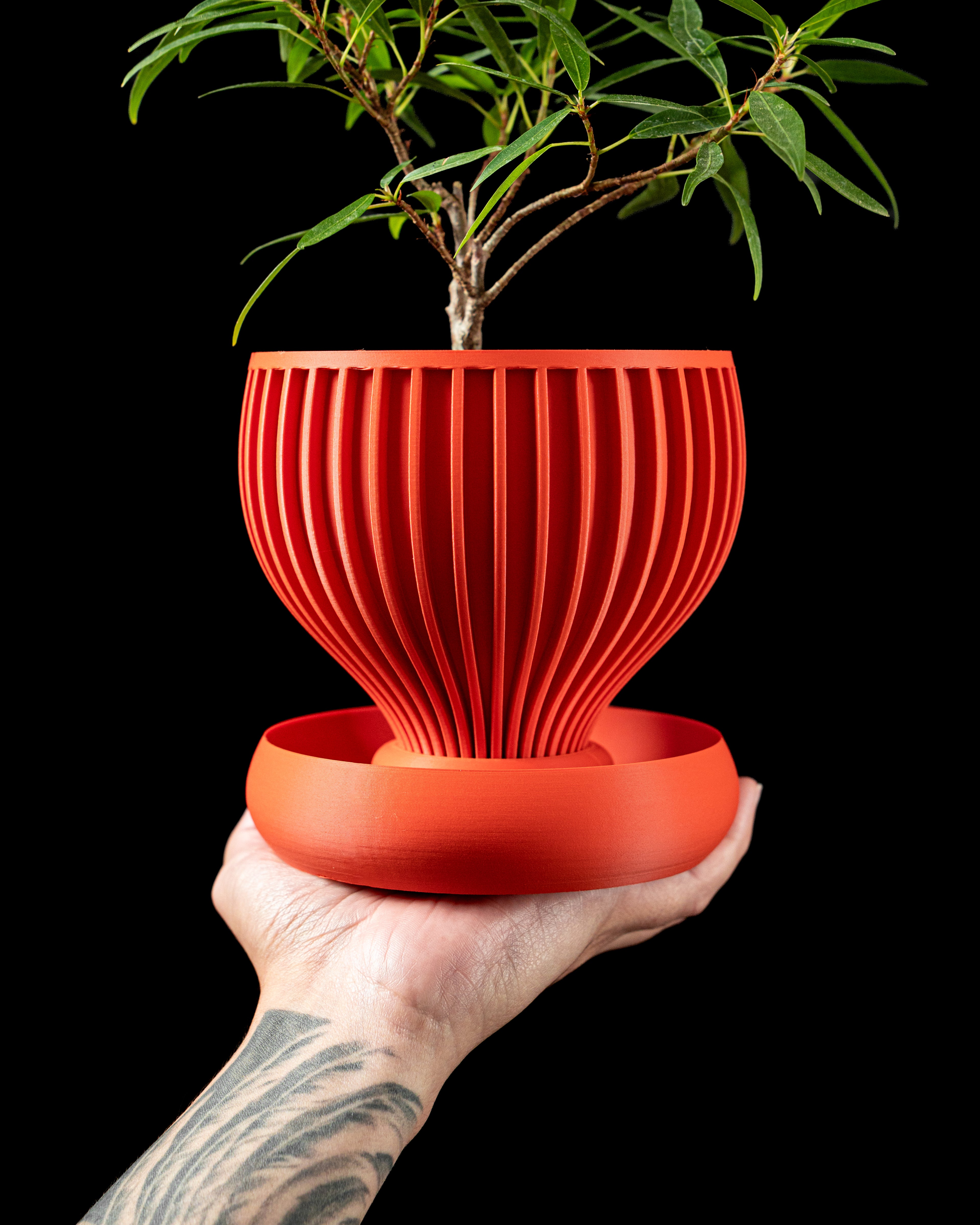 Yin Planter | 3D Printed Indoor PLA Pot with Drip Tray - Printed to Order