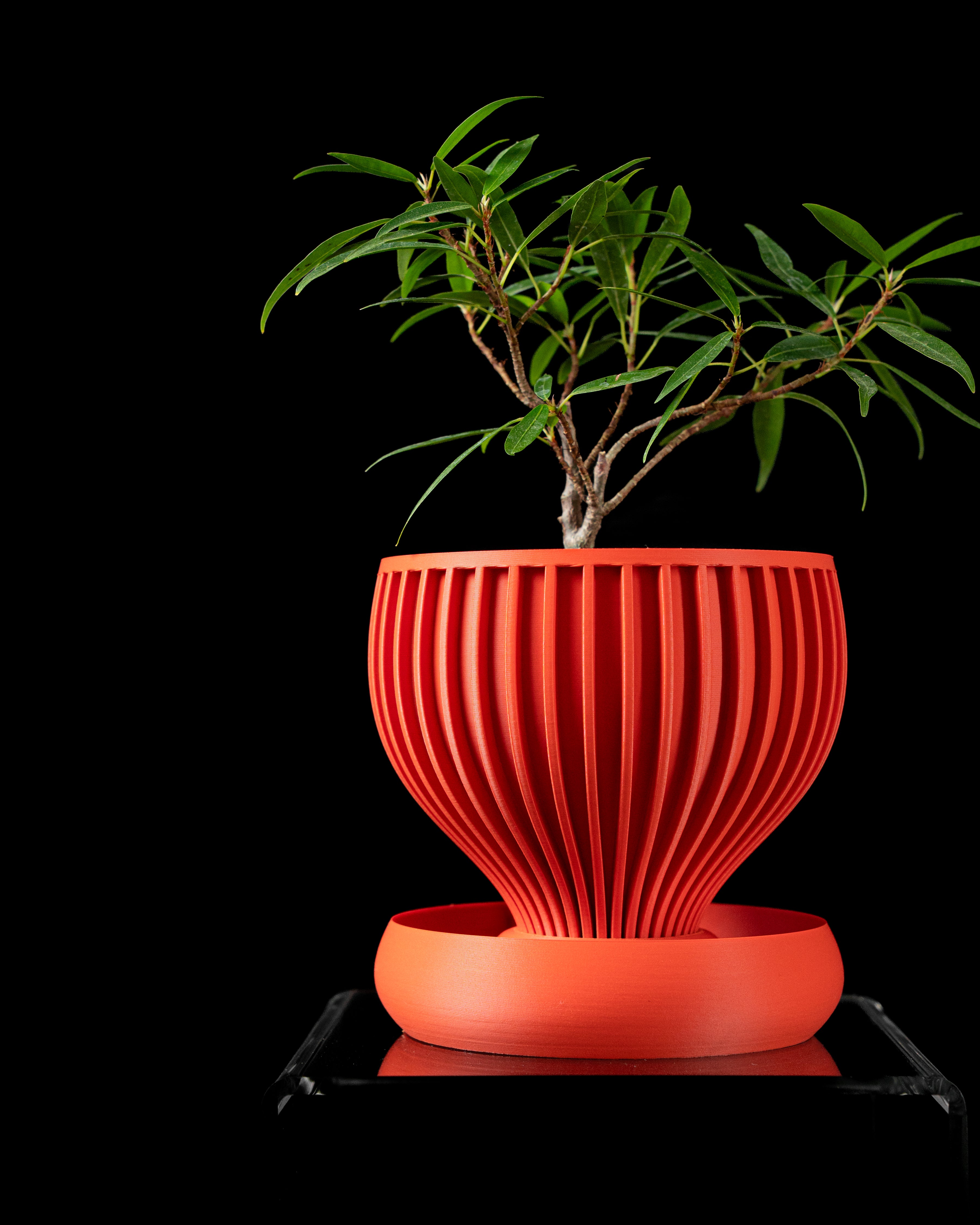 Yin Planter | 3D Printed Indoor PLA Pot with Drip Tray - Printed to Order