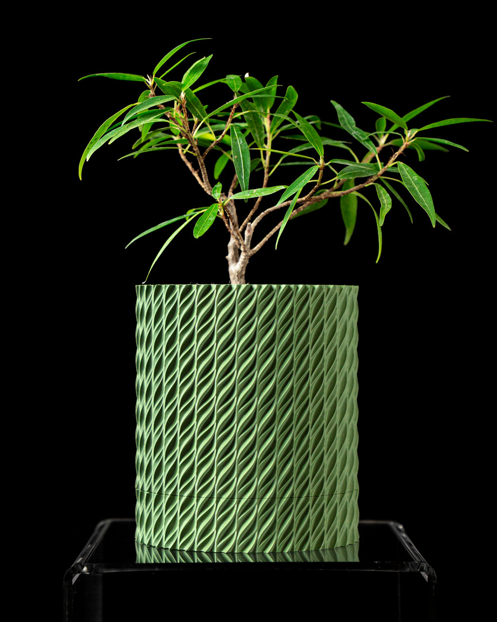 Flow Planter with Drainage Tray - Print to Order