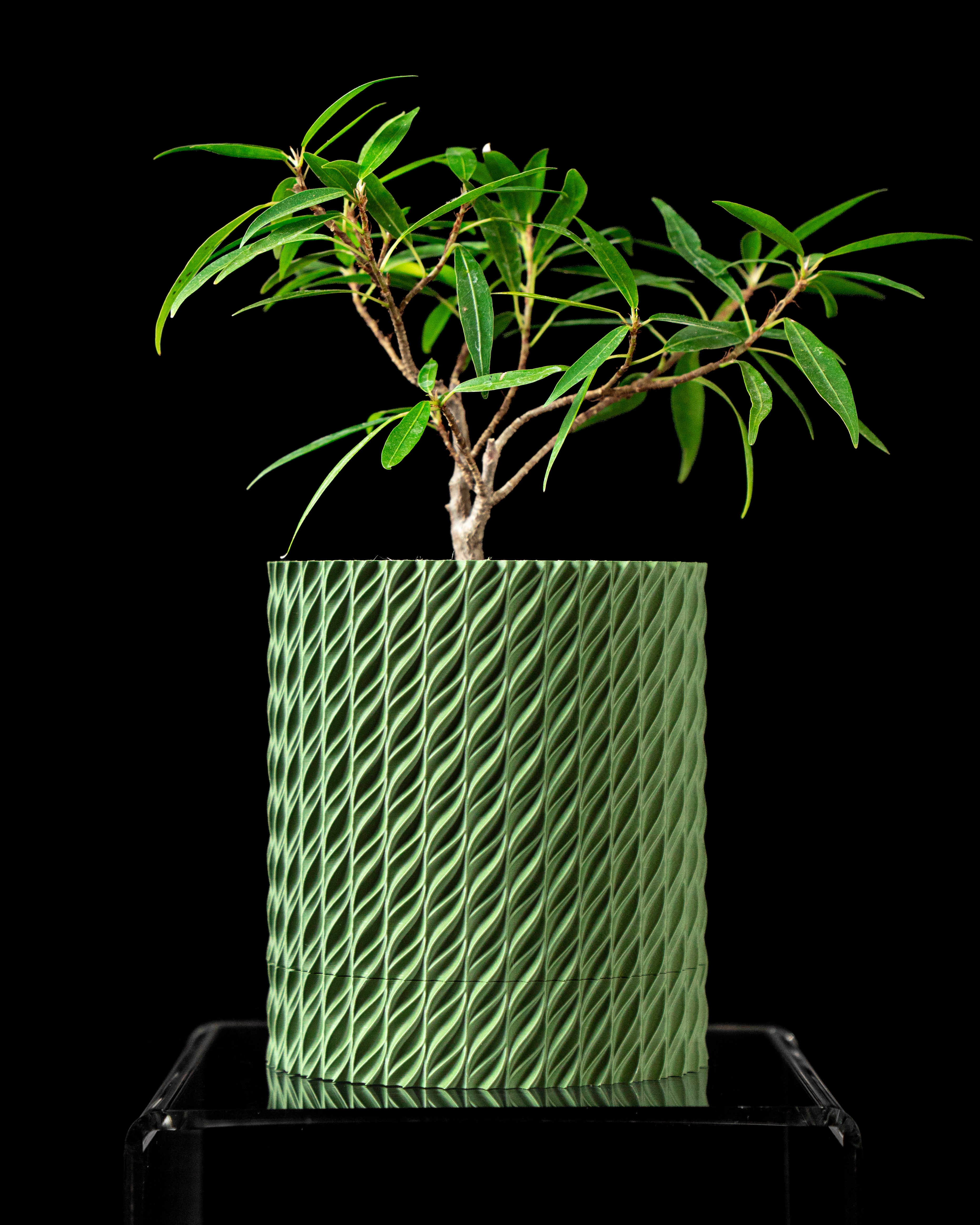 Flow Planter with Drainage Tray - Print to Order