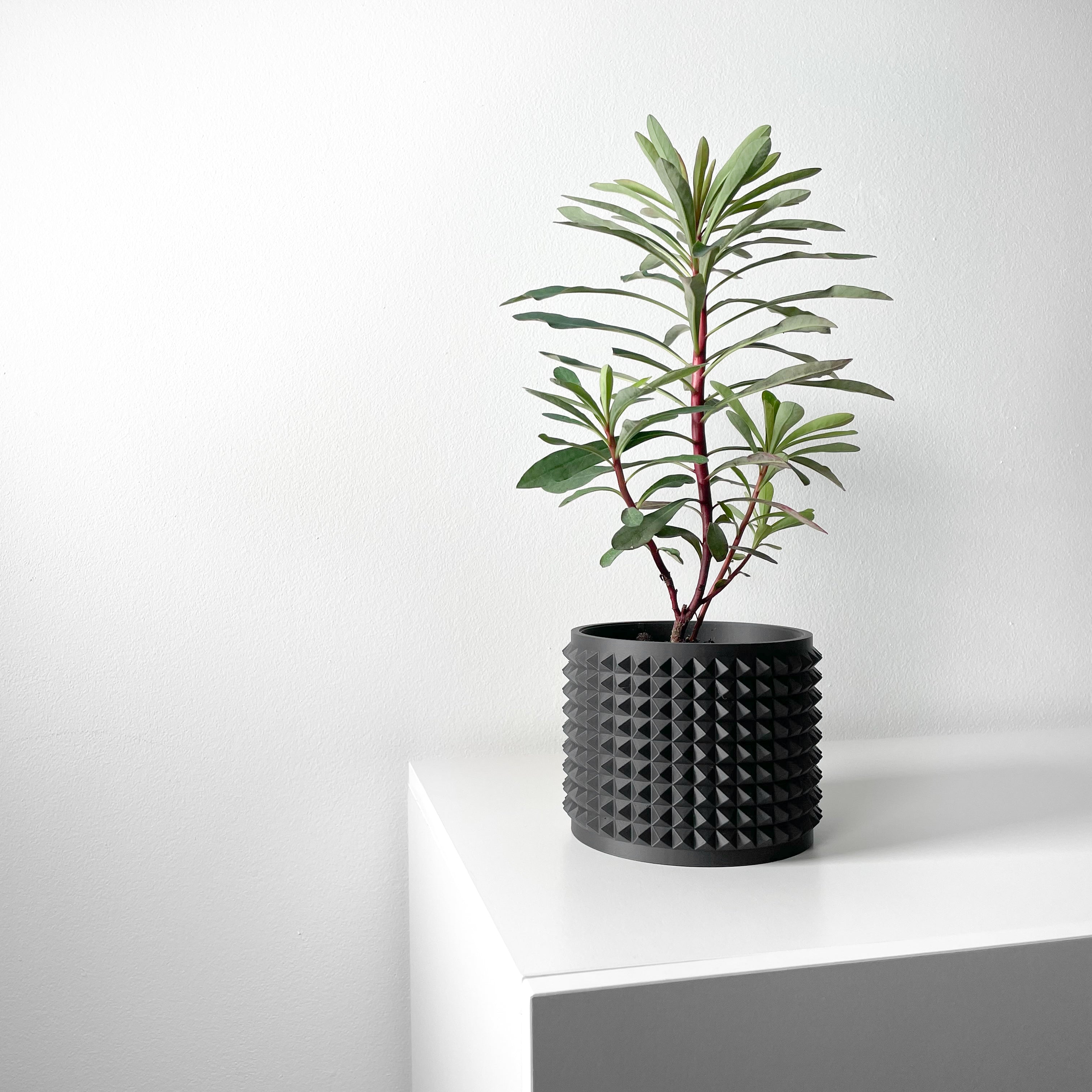 Anver Planter - Print to Order